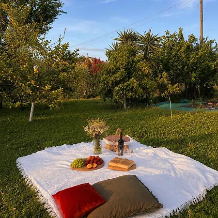 La Pergola Giardino Sul Mare 公寓 瓦多利古雷